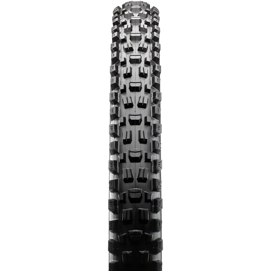 Assegai 3C MT EXO  TR WT - 29 x 2.5