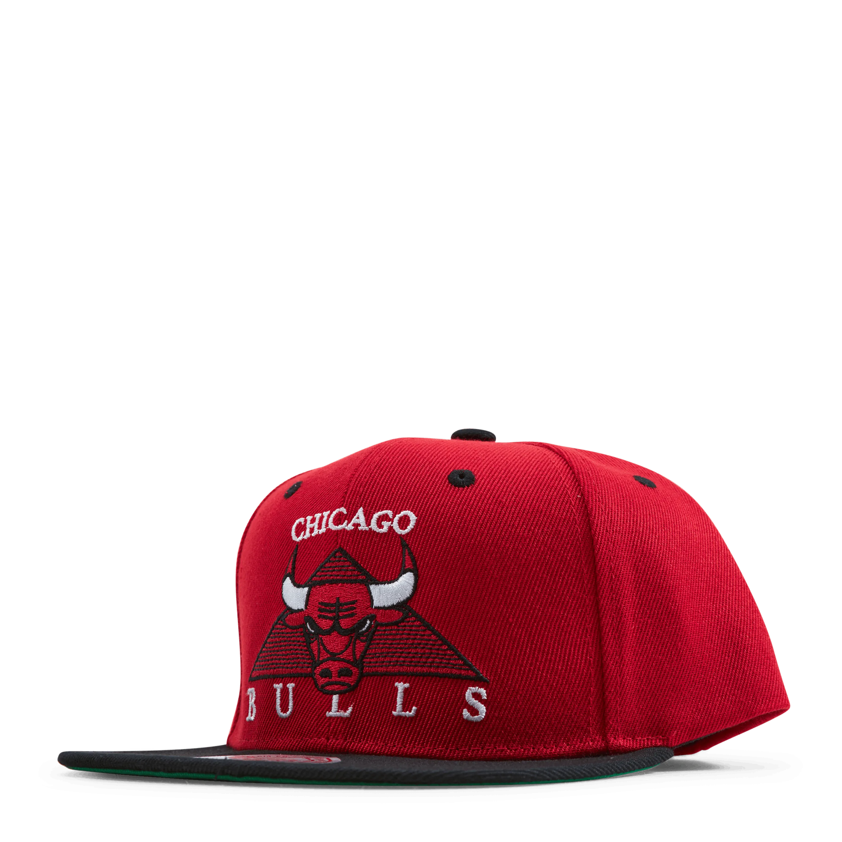 Bulls Monument Snapback